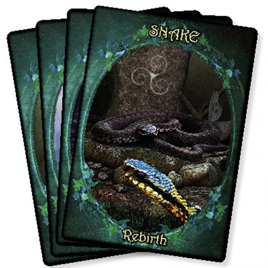 Witches' Familiars Oracle Cards Barbara Meiklejohn-Free