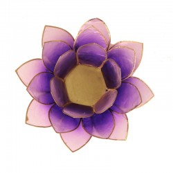 Lotus Capiz Sfeerlicht Violet Goud