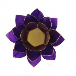 Lotus Capiz Sfeerlicht Violet 7e Chakra Goud