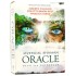 Mystical Shaman Oracle Cards Colette Baron-Reid