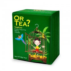 Or Tea? Tropicoco Fruitige Groene Maté Thee 2 doosjes 10 zakjes 4 gr