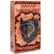 Shaman Wisdom Deck Leita Richesson