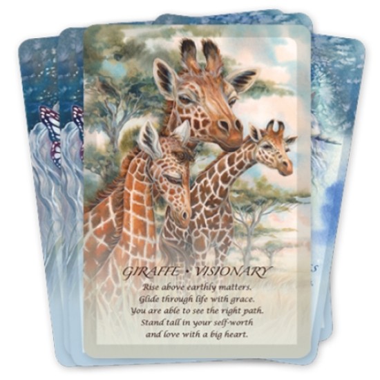 Spirit Of The Animals Oracle Jody Bergsma