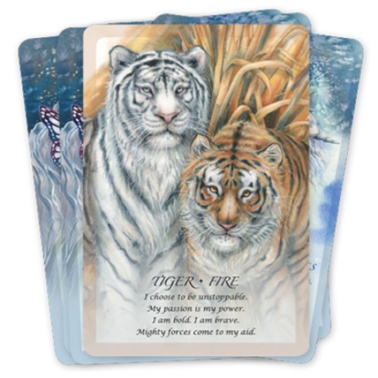 Spirit Of The Animals Oracle Jody Bergsma