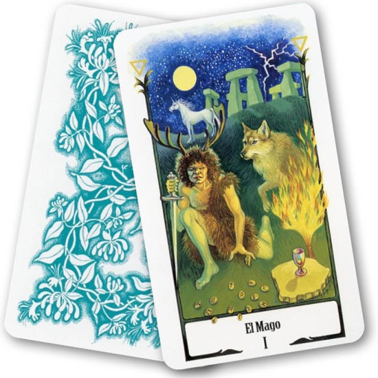 Tarot de las Mujeres Sabias Howard Rodway