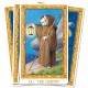 Tarot of the White Cats Mini Pietro Alligo