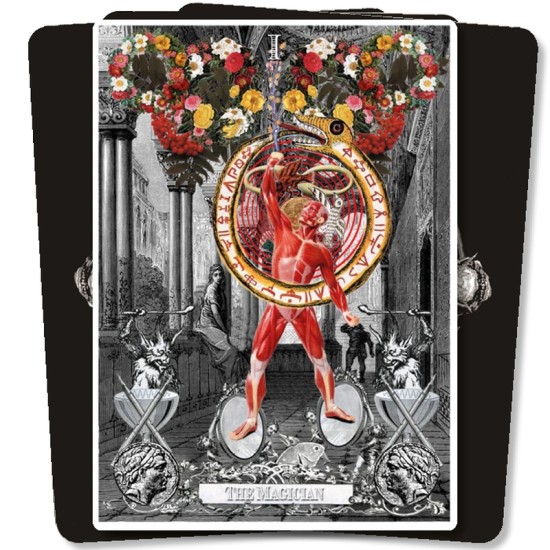 The Alchemical Visions Tarot Arthur Taussig