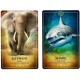 The Ark Animal Tarot & Oracle Cards Deck Bernadette King