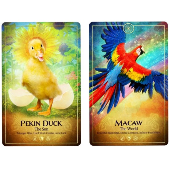 The Ark Animal Tarot & Oracle Cards Deck Bernadette King