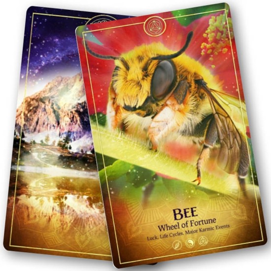 The Ark Animal Tarot & Oracle Cards Deck Bernadette King