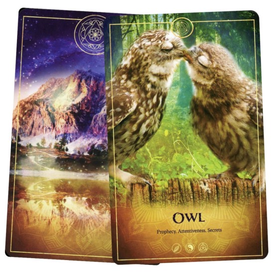 The Ark Animal Tarot & Oracle Deck - Expansion Pack Bernadette King