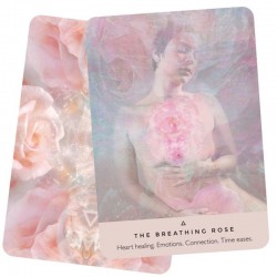 The Rose Oracle Rebecca Campbell