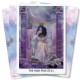 The Starchild Tarot AKASHIC & Book Danielle Noel