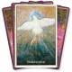 Universal Love Healing Oracle Cards Toni Carmine Salerno