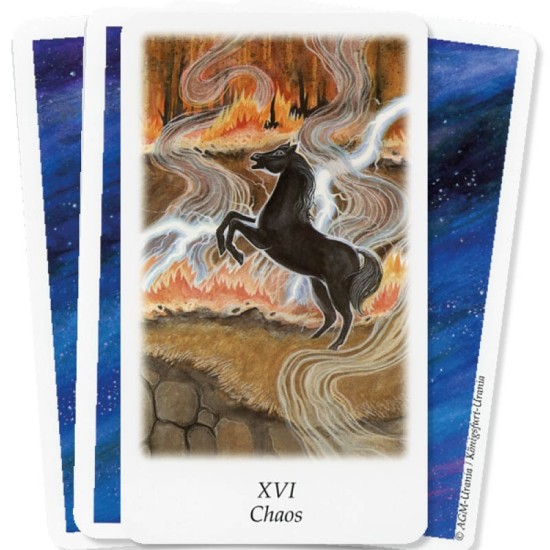 Vision Quest Tarot Deck Gayan Sylvie Winter