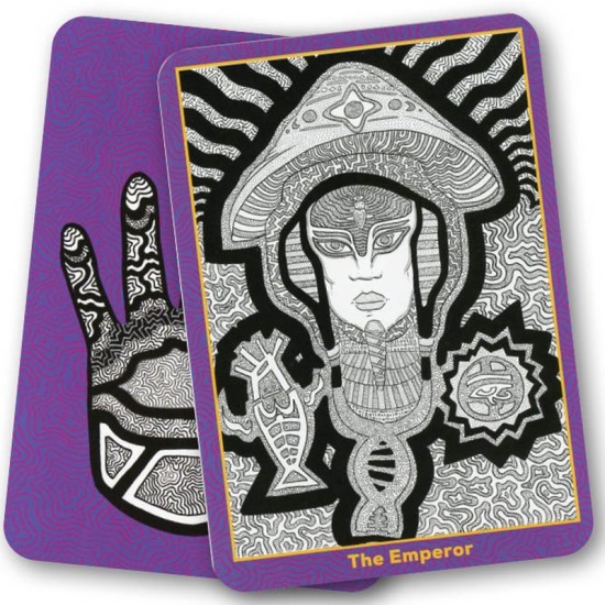 Visionary Path Tarot Lucy Delics