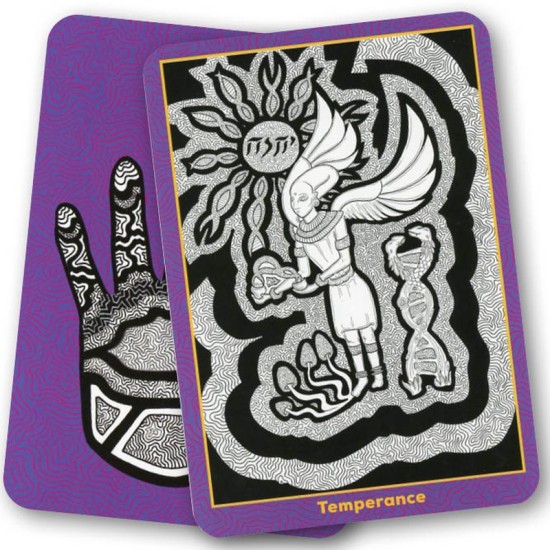 Visionary Path Tarot Lucy Delics