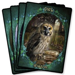 Witches’ Familiars Oracle Cards – new release! Barbara Moore