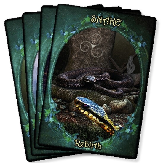 Witches’ Familiars Oracle Cards – new release! Barbara Moore