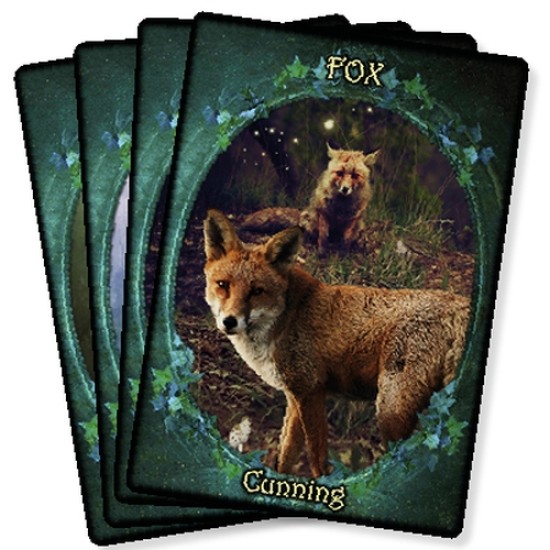 Witches’ Familiars Oracle Cards – new release! Barbara Moore