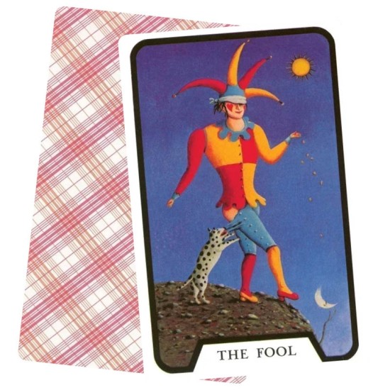 Witches Tarot Deck - US Games Fergus Hall