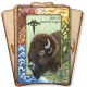 World Animal Dreaming Oracle Cards Scott Alexander King