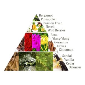 Aromafume Chakra Wierookblokjes 4e Chakra 27 stuks