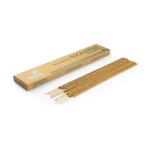 Ispalla Wierook Relaxation Palo Santo - Eucalyptus Box 12x 15 gram