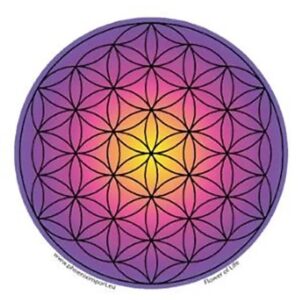 Raamsticker Flower of Live 3 stuks