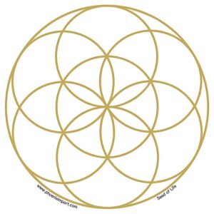 Raamsticker Seed Of Life 10cm set 3 stuks