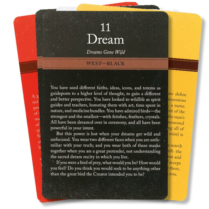 Sacred Vision Oracle Cards Lynn Andrews - Afbeelding 2