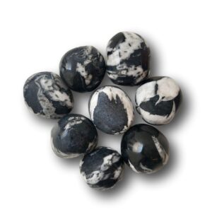 Chrysant Steen | Chrysanthemumsteen | Porphyriet 2-3cm