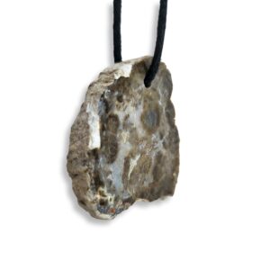 Doorboorde Hanger Versteend Hout Schijf