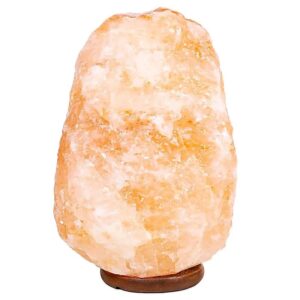 zoutlamp elektrisch 5 5 10kg himalaya zout